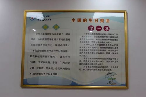 大通縣青少年法治教育基地 普法宣傳與教育服務(wù)融合的亮點